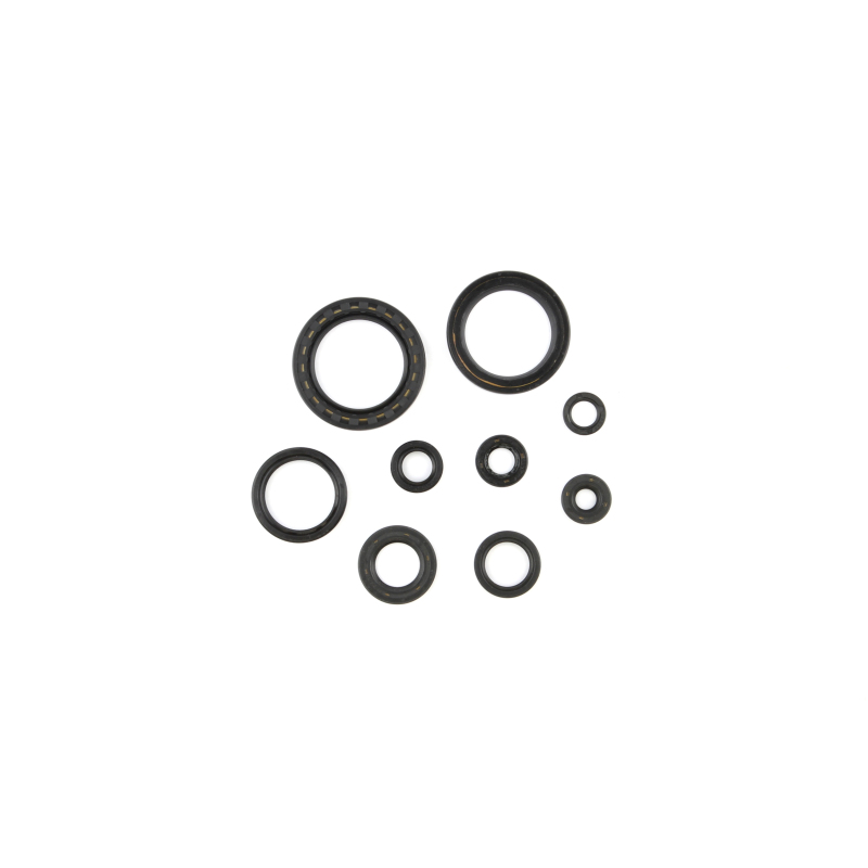 CG Oil Seal Kit