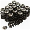 GSC Valve Spring Kits