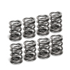 SPT Dual Valve Springs