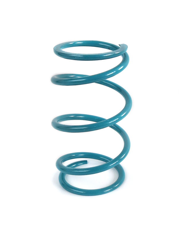 EPI Clutch Springs