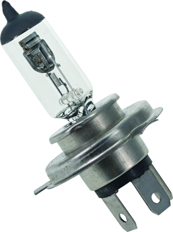 BikeMaster BKM Light Bulbs