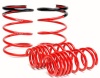 SK Lowering Springs