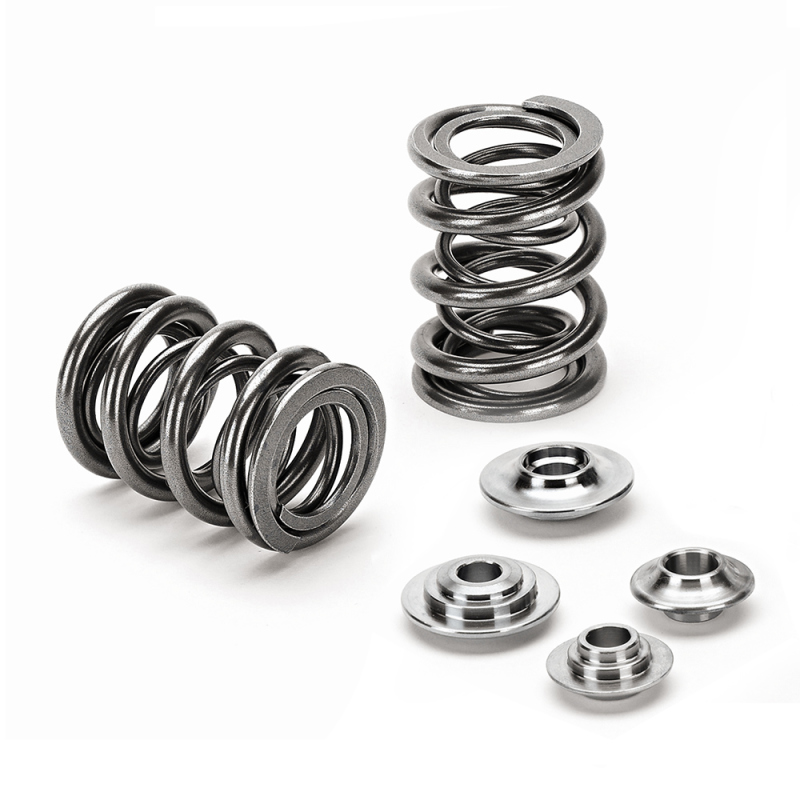 SPT Dual Valve Spring Kits