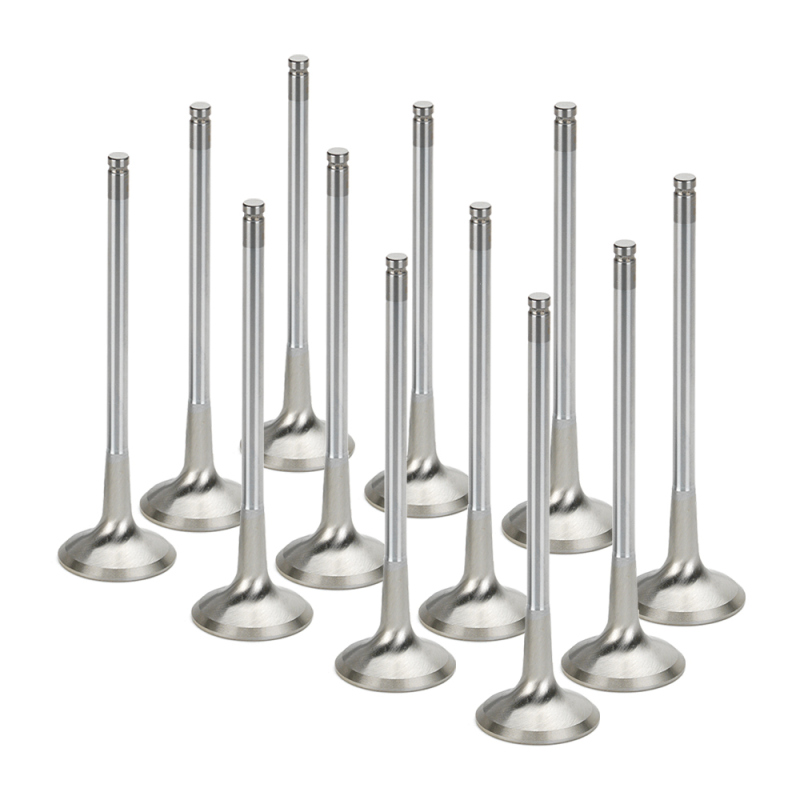 SPT Exhaust Valves