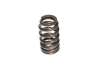 CCA Valve Springs