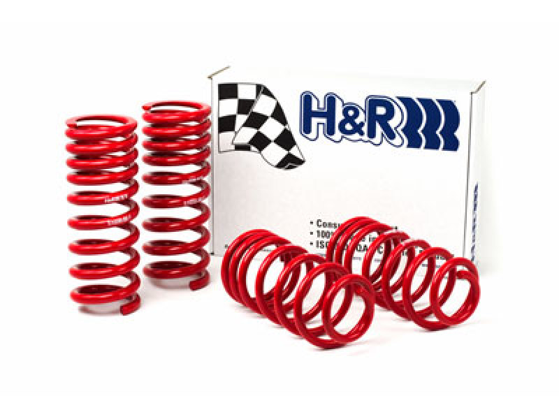 H&R 94-95 Ford Mustang/Mustang Cobra V8 Race Spring thumbnail 4
