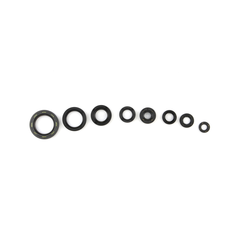 CG Oil Seal Kit