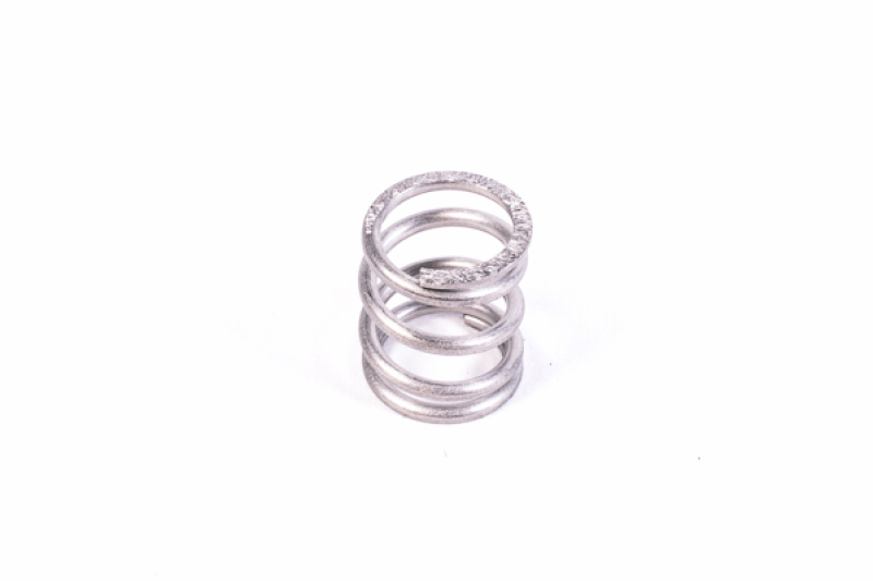 Radium Engineering FPR Spring- Wide Range (Use with Radium MPR, DMR, and FST-R) thumbnail 2