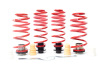 HR VTF Adj Lowering Springs
