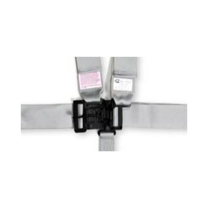 RaceQuip Platinum L & L 5pt Seat Belt thumbnail 3