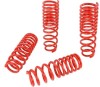 SK Lowering Springs