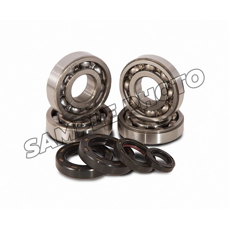 HDS Main Bearing & Seal Kit