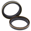 ABR Fork & Dust Seal Kits