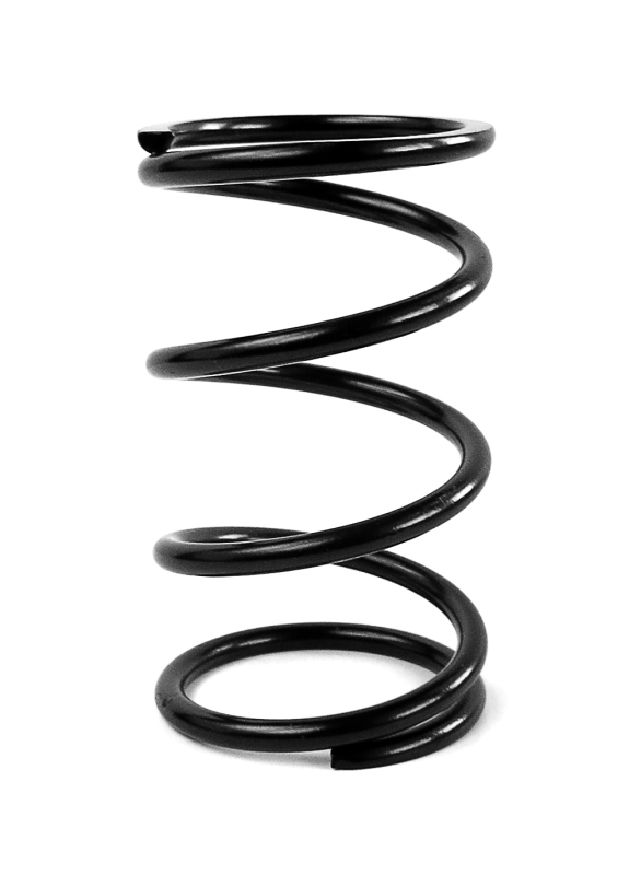 EPI Clutch Springs