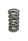 CCA Valve Springs