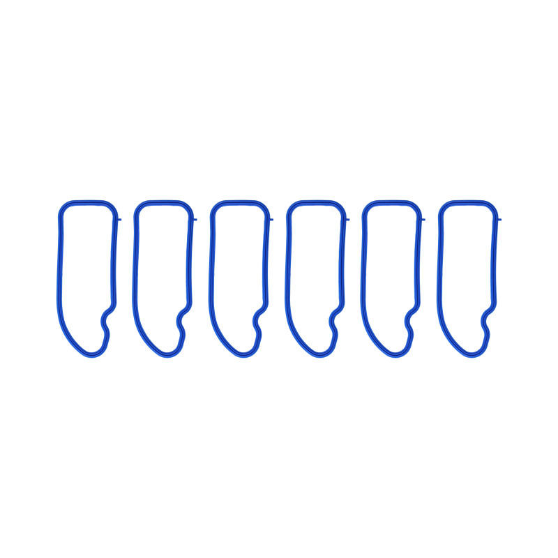 FEL Intake Manifold Gaskets