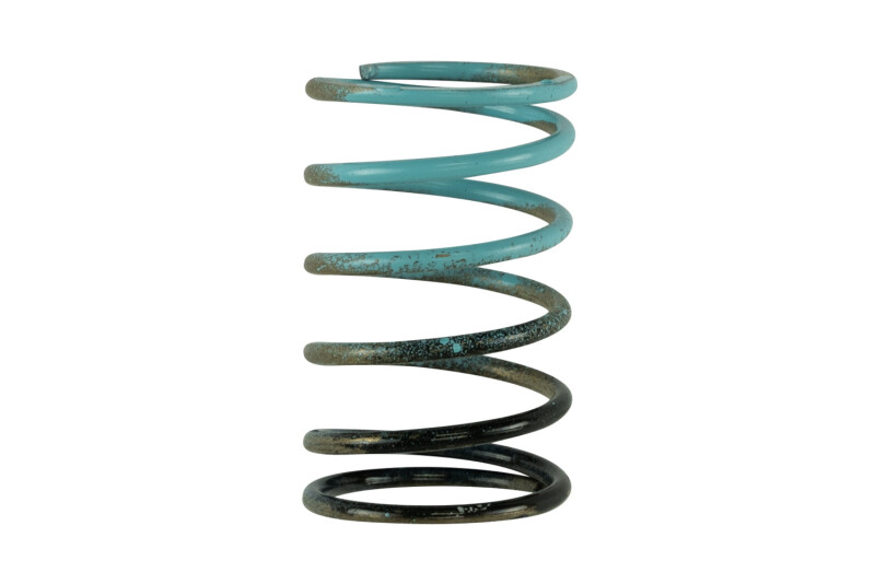 TS Wastegate Springs