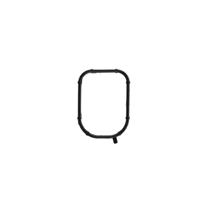 FEL Coolant Outlet Gaskets