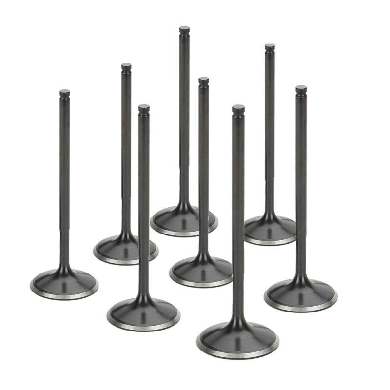 SPT Intake Valves