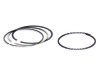 SPT Piston Rings