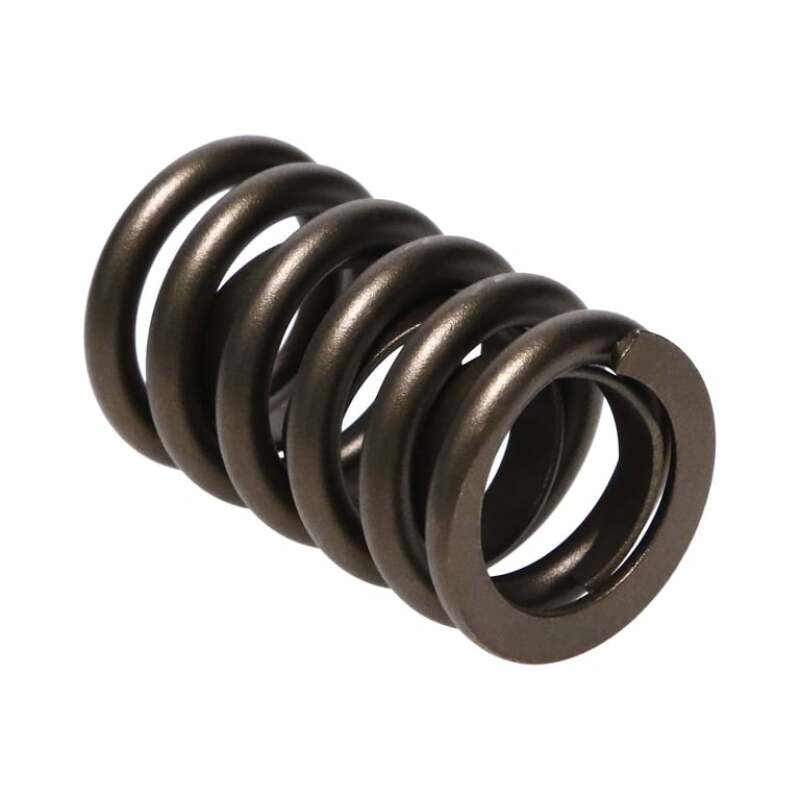 MAN Valve Springs
