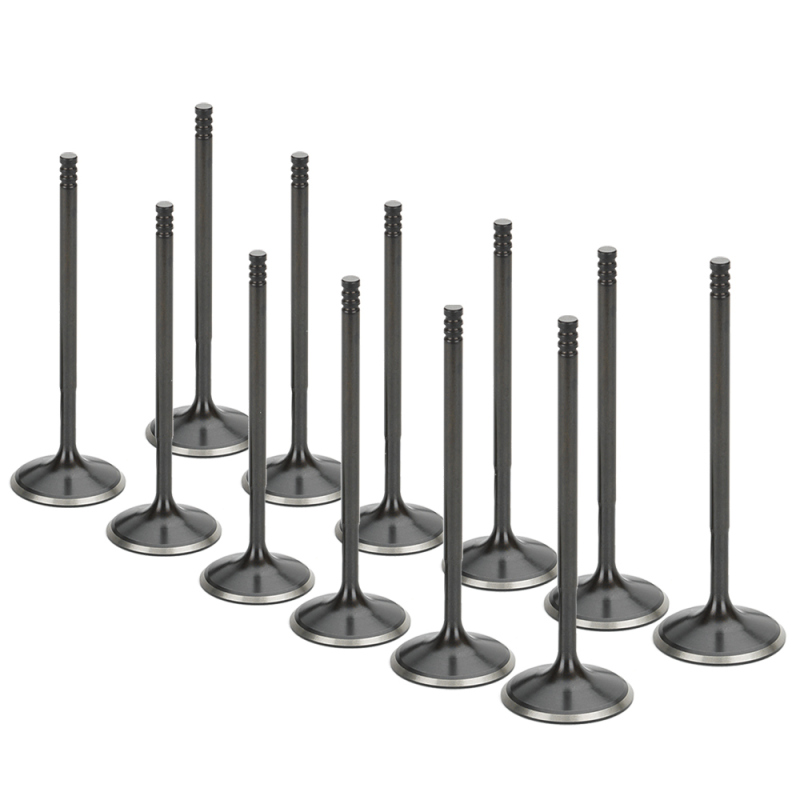 SPT Intake Valves