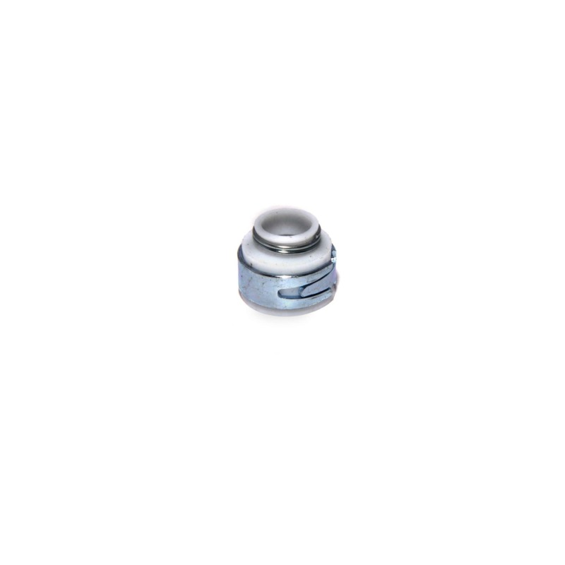 CCA Valve Seals