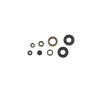 CG Oil Seal Kit