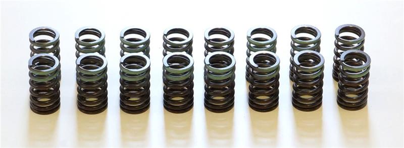 HKS Valve Springs
