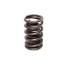 CCA Valve Springs
