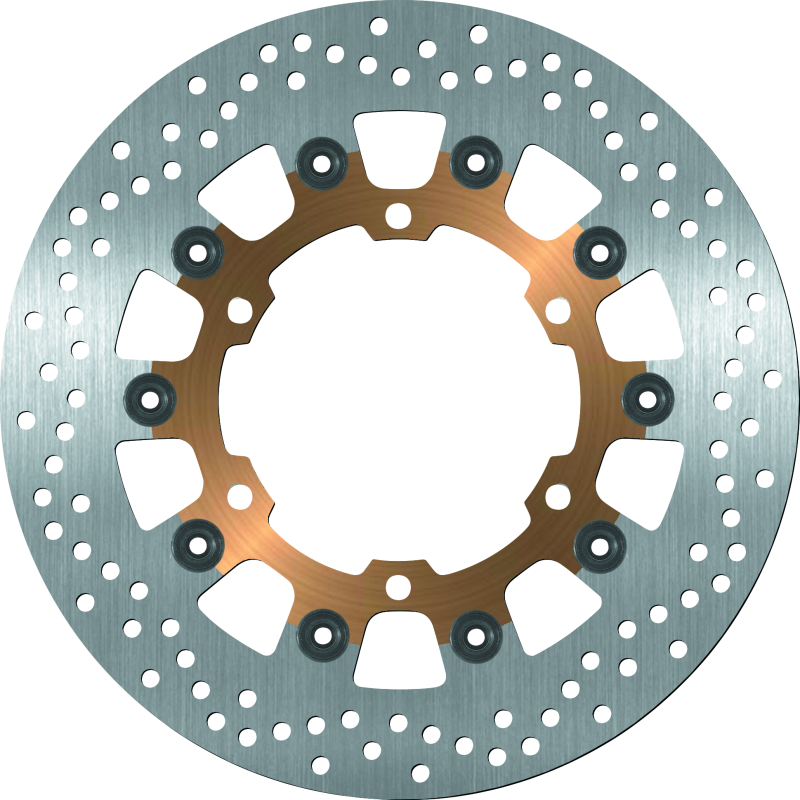 BikeMaster BKM Brake Rotors