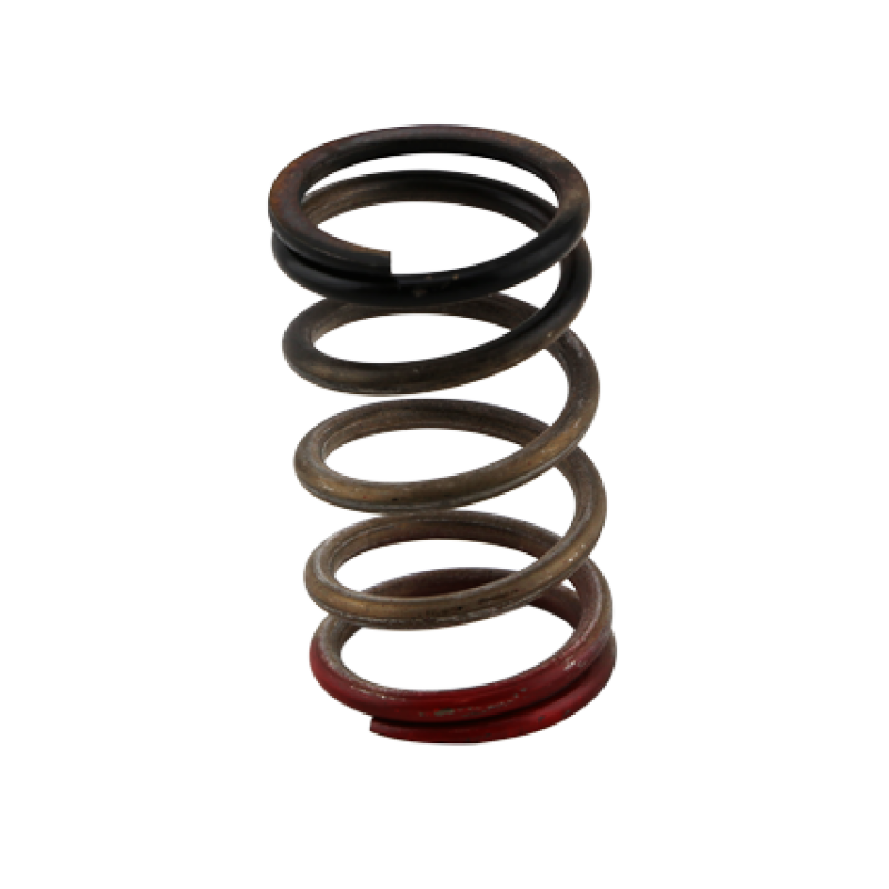 TS Wastegate Springs