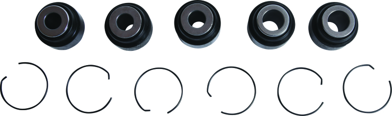 All Balls Racing Rear Ind. Suspension Kit