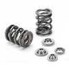 SPT Dual Valve Spring Kits