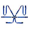 SPA 6PT Harness/Belt