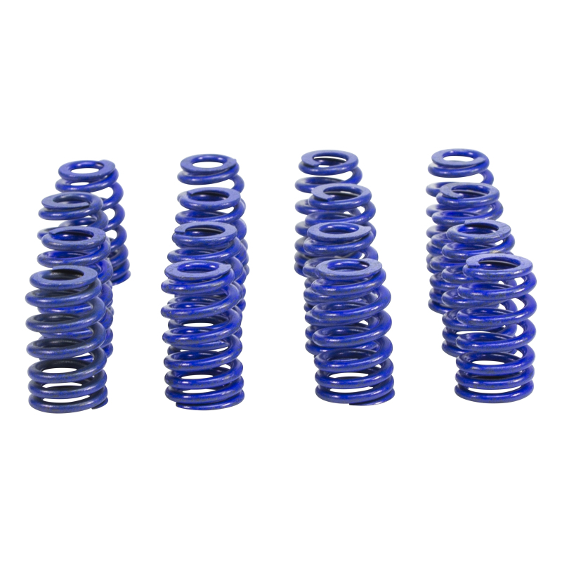 CCA Valve Spring Sets