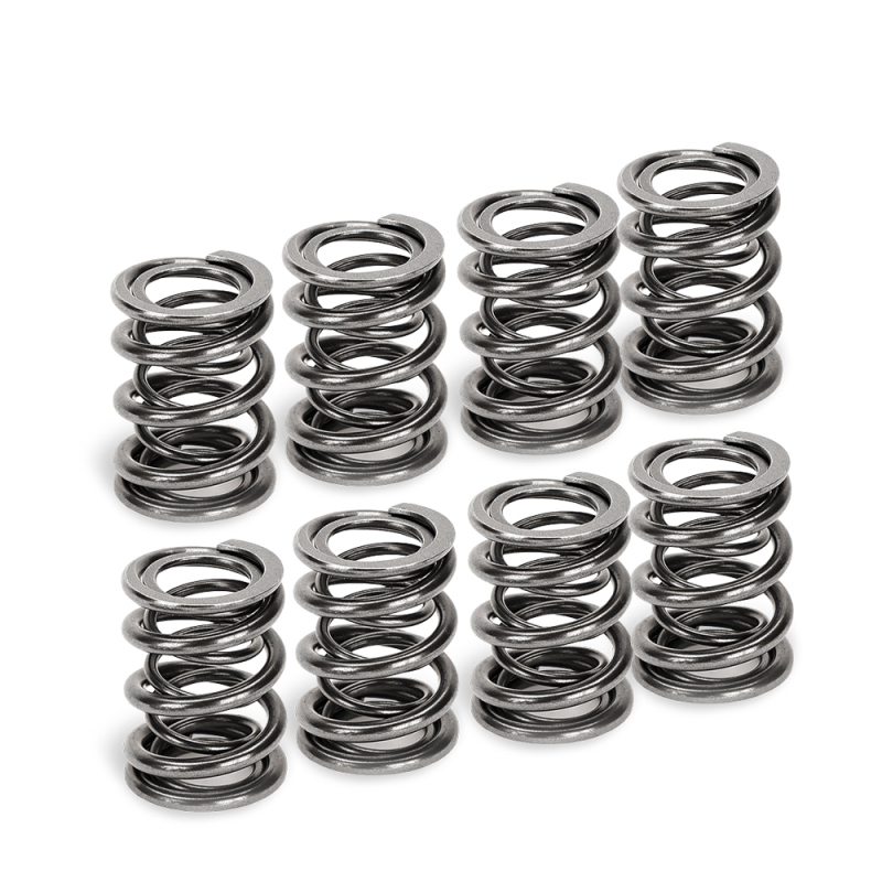 SPT Dual Valve Springs