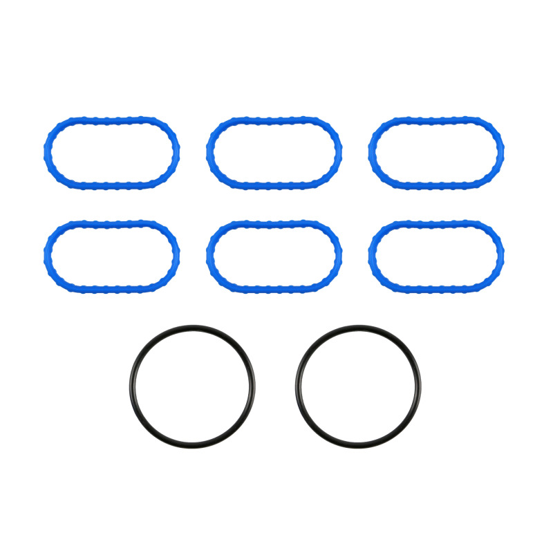 FEL Fuel Injection Plenum Gaskets
