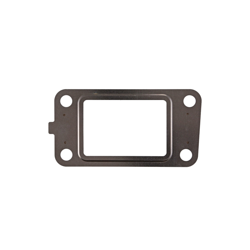 FEL Valve Gaskets