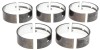 CLE Main Bearing Set