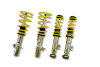 STS Coilover