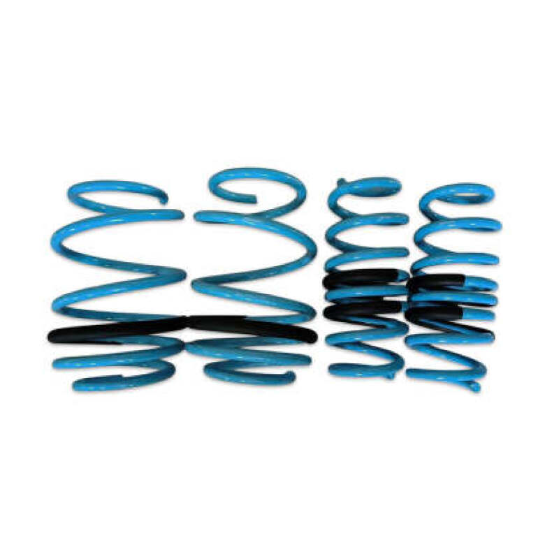 BX Lowering Springs