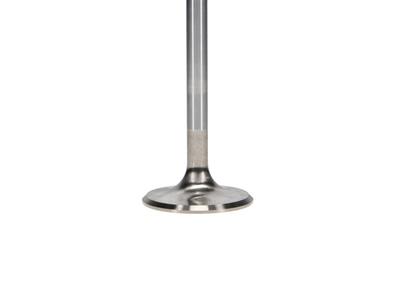 Manley Ford 4.6L/5.4L DOHC 4V 37mm Dia 5.339in Length Bead Loc Race Master Intake Valves (Set of 8) thumbnail 8
