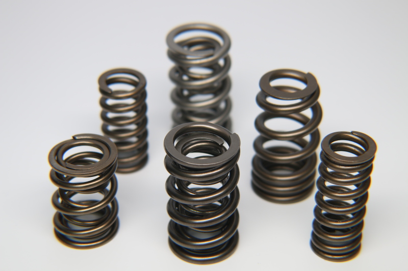 FER Valve Springs - Single
