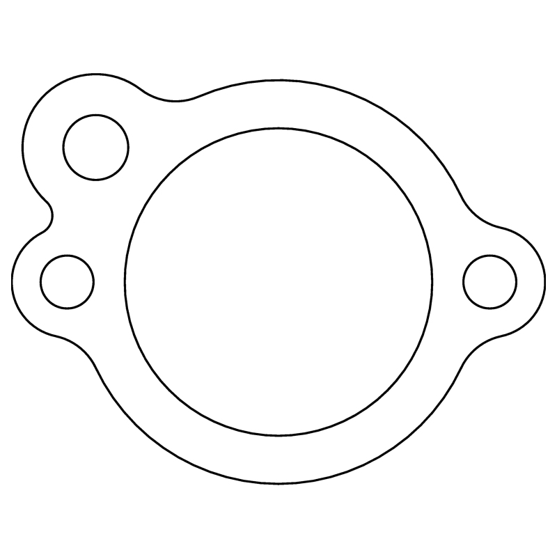 CG Head Gaskets