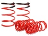 SK Lowering Springs