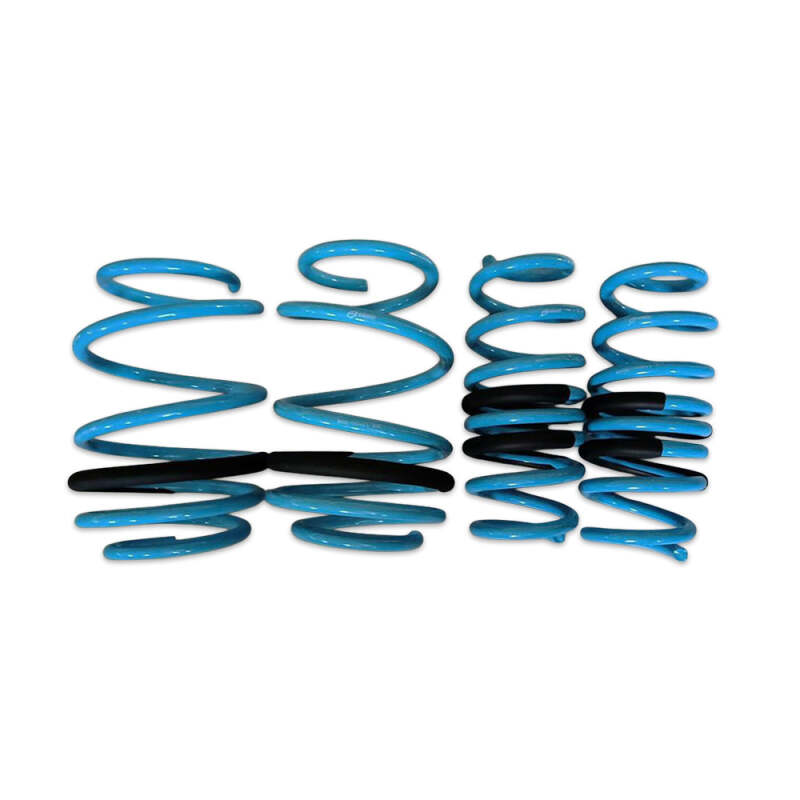 BX Lowering Springs