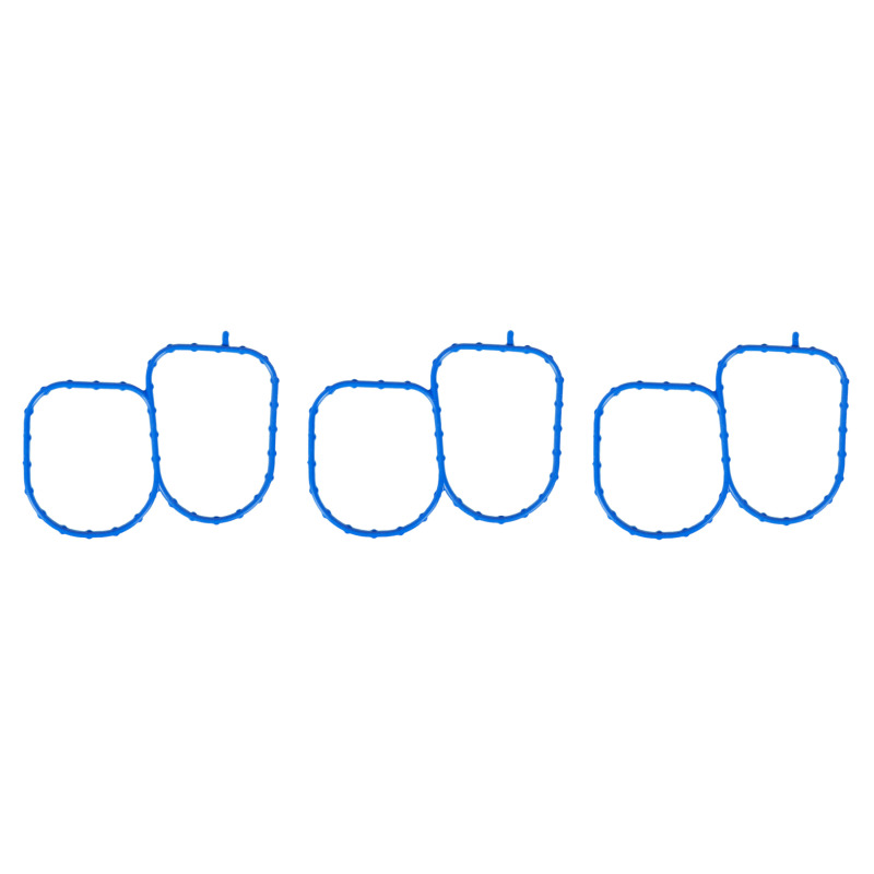 FEL Fuel Injection Plenum Gaskets