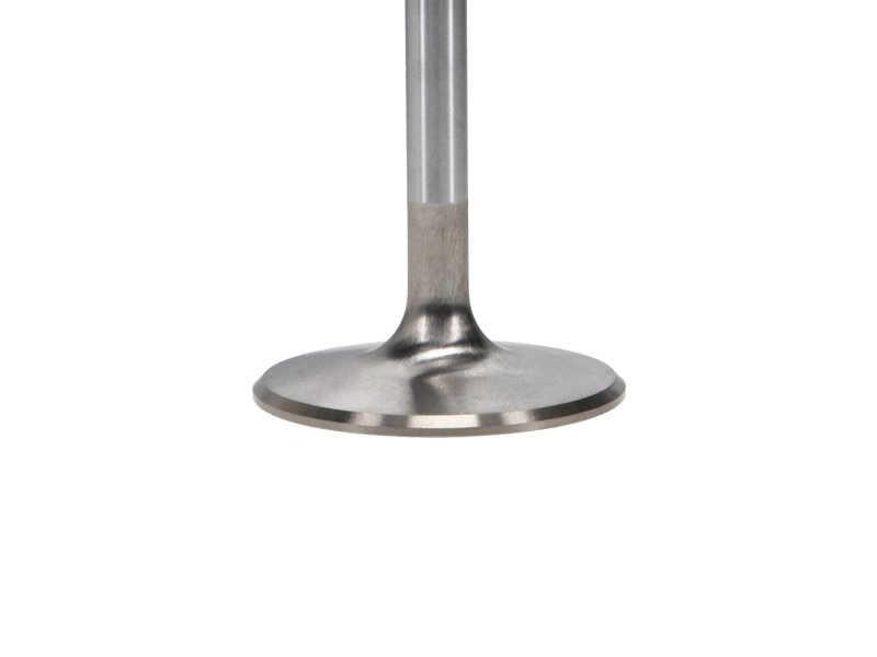 Manley Big Block Chevy Stock 3/8in Stem Diameter Severe Duty Intake Valves (Set of 8) thumbnail 9
