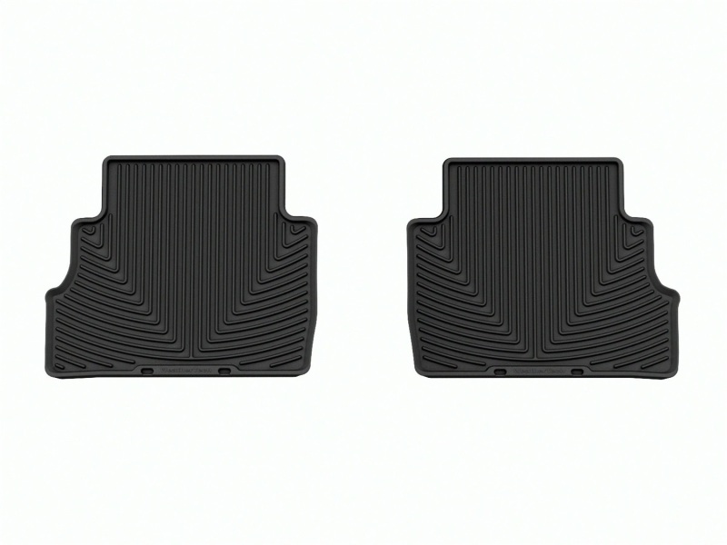 WT Rubber Mats - Rear - Blk